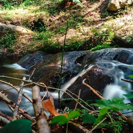 Villetta Nella Natura A Due Passi Dal Mare מרצ'יאנה מרינה